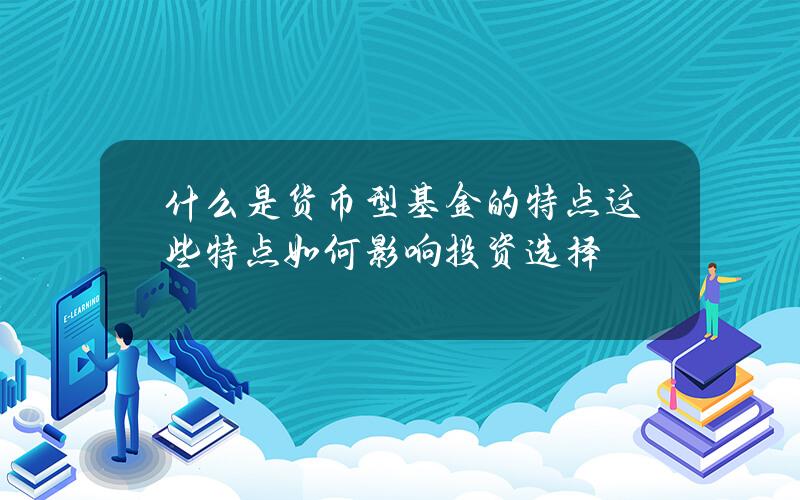 什么是货币型基金的特点？这些特点如何影响投资选择？