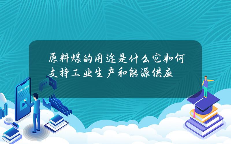 原料煤的用途是什么？它如何支持工业生产和能源供应？