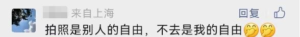 今天开幕！上海警方：大客流已是必然！“霸树”式拍照真的管不好？最大难点在于……