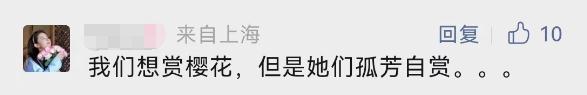 今天开幕！上海警方：大客流已是必然！“霸树”式拍照真的管不好？最大难点在于……