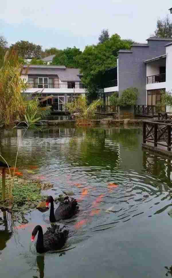 冬日真温泉温暖首选，就在“广东温泉之冠”——河源热龙温泉酒店