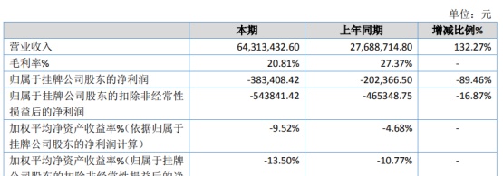 和创化学2019年亏损38.34万亏损增加 收到的返还税费减少