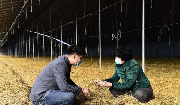 新春走基层｜让幸福的花儿在红泥崖绽放