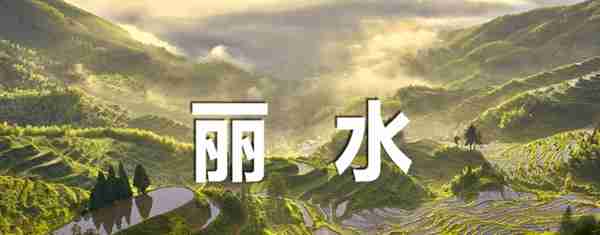 392个编制名额！最新浙江教师招聘信息来啦