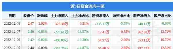 ST瀚叶（600226）12月8日主力资金净买入375.30万元