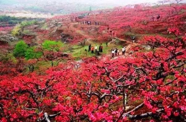 冬日真温泉温暖首选，就在“广东温泉之冠”——河源热龙温泉酒店