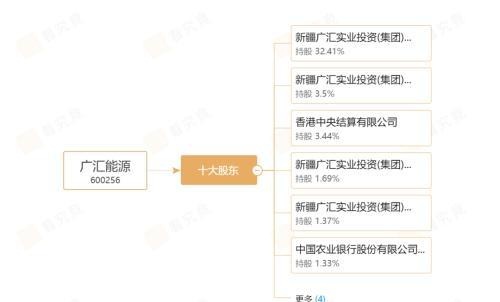 广汇系溢价42%拿下合金投资控股权，孙广信“买壳”筹谋资产注入？