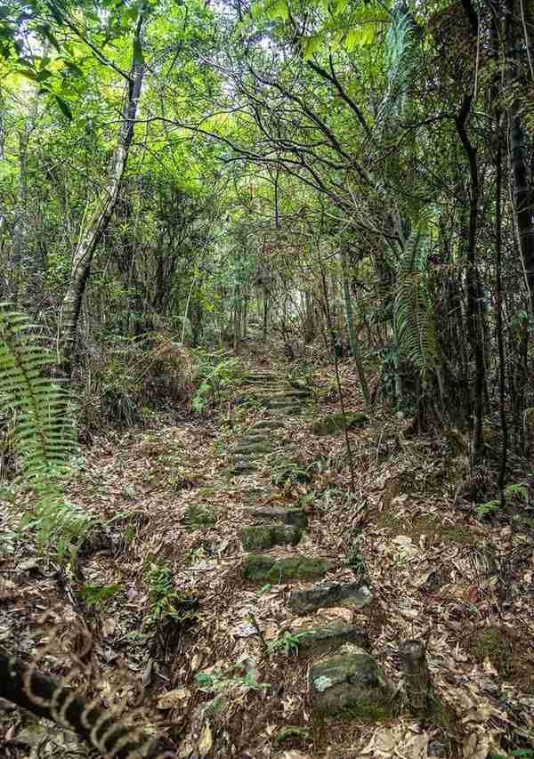 丰顺百年官道——猴子岽古道