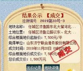 山东中亿集团济宁置业有限公司(山东中亿集团济宁置业有限公司项目)