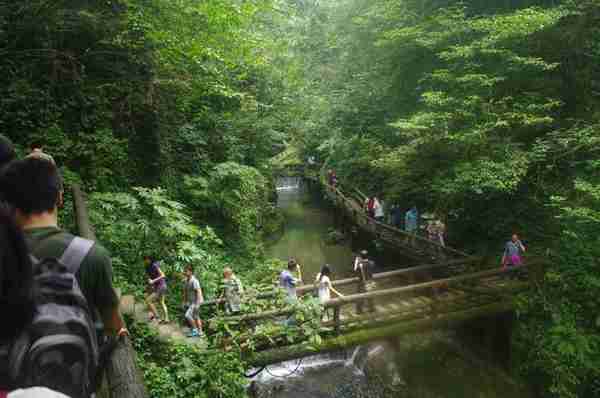 青城后山(青城后山旅游攻略)