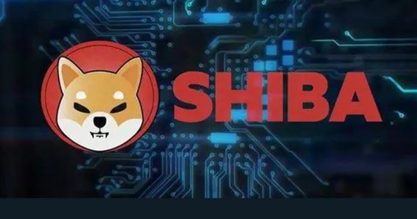   shib在哪购买，shib怎么参与交易