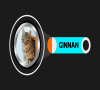 Ginnan the Cat (GINNAN)：猫的 DOGE